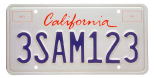 passenger vehicle license plate 2010